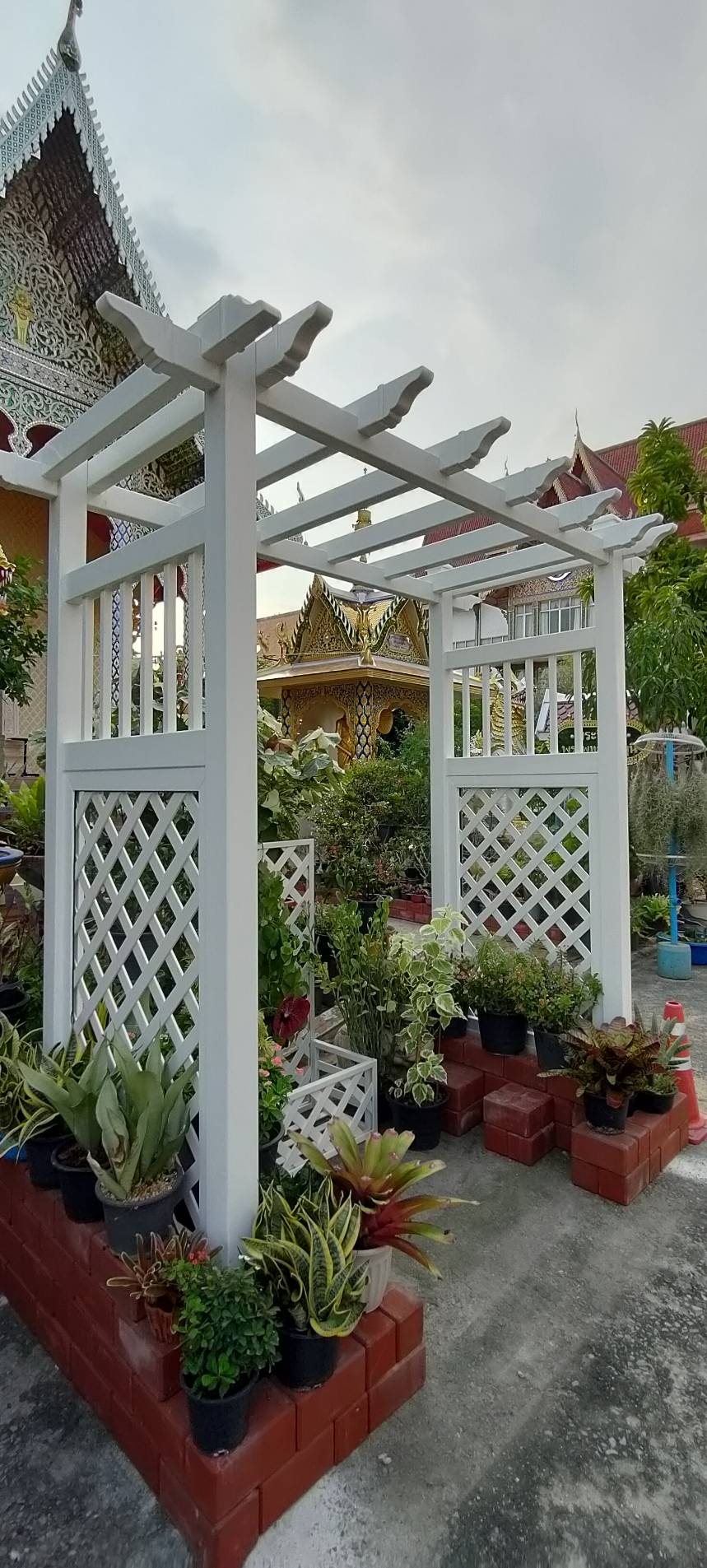 Tree Pergola with Panel