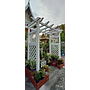 Tree Pergola with Panel